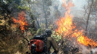 تشریح اقدامات سازمان محیط زیست برای پیشگیری از وقوع آتش‌سوزی در پارک ملی گلستان