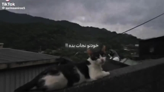 صندوق پستی من،پیامی داری توی کپشنه^_^