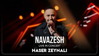 Naser Zeynali - Navazesh | Live In Concert ( ناصر زینلی - نوازش )
