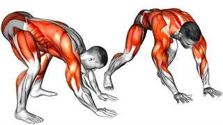 تمرینات با وزن بدن در خانه بدون تجهیزات