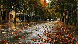 بارش باران پاییزی در مازندران