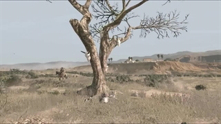 اکانت قانونی red dead redemption 1