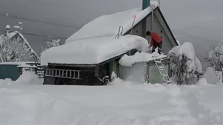 برف روبی هوکایدو