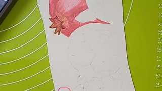 نقاشی انار تاپر کیک