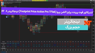 اندیکاتور فوت پرینت پرایس اکشن پرو (Footprint Price Action Pro TFlab) نینجاتریدر8 #6 حجم بزرگ - [تریدینگ فایندر]