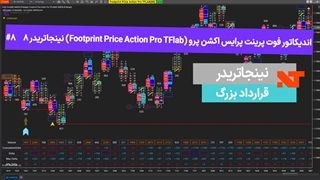 اندیکاتور فوت پرینت پرایس اکشن پرو (Footprint Price Action Pro TFlab) نینجاتریدر8  #8 قرارداد بزرگ - [تریدینگ فایندر]