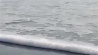 Part:1 نجاتم بدین عاشق شده ام