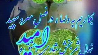 نیکوکاری (کلیپ های نژاد)