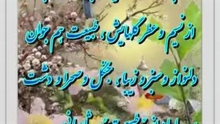 بهار و طبیعت (کلیپ های نژاد)