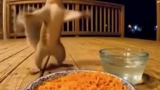 خب فعلا خداحافظ تا بعد