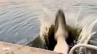 دوستان نفری هزارتومن جمع کنیم بدیم به سازنده این فک کنم بدبخت خیلی نیاز داره