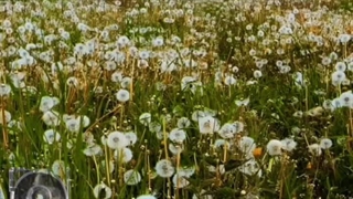 بیاید چت ناشناس ( کپشن ) چون ادیت دیگه ای نداشتم قبلی رو گذاشتم