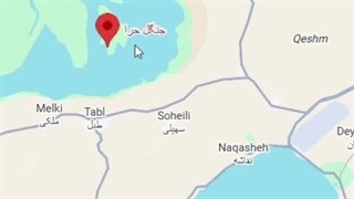 قشم کجا بمونیم؟ ارزانترین قیمت تور قشم با لاوان پرواز