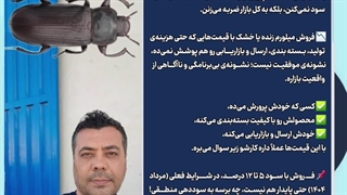 روش فروش میلورم زنده خشک پرورشی