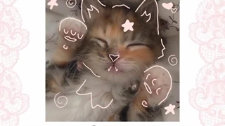 جز نقاشی رو کاغذ و بوم رو اینا هم بکش( کپشننن