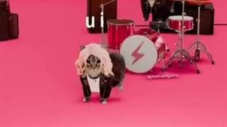 آهنگ APT رزی ورژن گربه ای