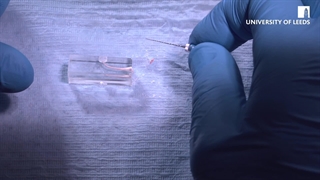 همه چیز درباره گوتا پرکا دندانپزشکی | انتخاب درست برای درمان ریشه موفق