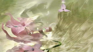 Doja cat Playlist پلی لیست دوجا کت