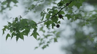 قسمت 7 سریال تایوانی تدریس عاشقانه 2022 Lesson in Love با زیرنویس فارسی