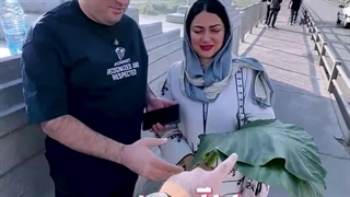 خرید لامپ رشد گیاه در اهواز