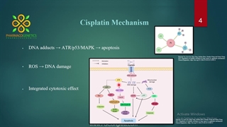 سخنرانی دکتر مهراسا اصغری در دومین کنگره بین المللی فارماکوژنتیک