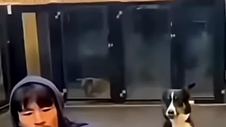 چشم ها همه چیز رو روایت میکنن... ⁦(⁠^⁠^⁠)⁩