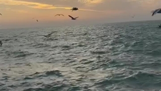 تا ابد برای ایران...