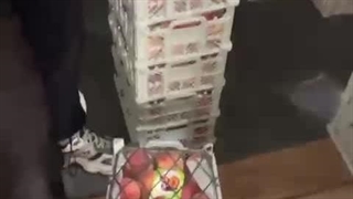 بازرگانی تجارت سیب در کردستان