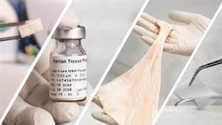 محصولاتی که با علم فناوری آلوگرافت ساخته می‌شوند