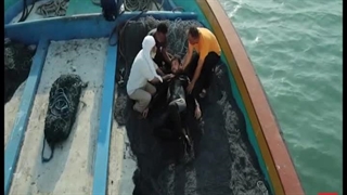 فیلم‌ ایرانی رهام