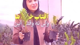 توری شید گلخانه بهترین محافظ گیاهان شما