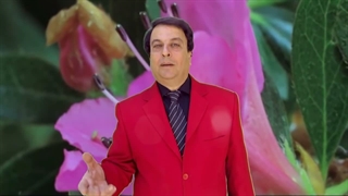 آهنگ "بلا بلا" از امیر شاملو