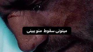 نمیتونی تسلیم شدن من رو ببینی  !