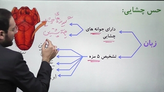 زیست یازدهم فصل 2 گفتار 2 بخش سوم