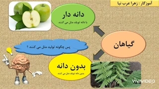 علوم چهارم ابتدایی