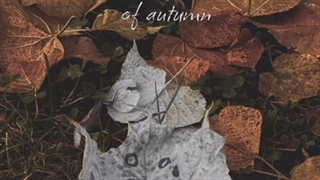 Last Leaves Of Autumn از zleepyfred|کپ|