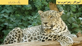 مطالعات اجتماعی چهارم ابتدایی