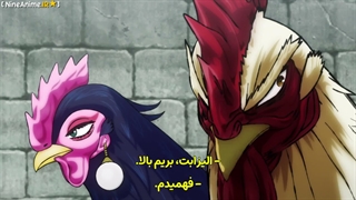 خروس جنگی قسمت ۵