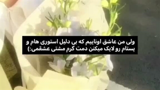 تویی که لایک میکنی... یه ماچ به کلت (◠‿◕)
