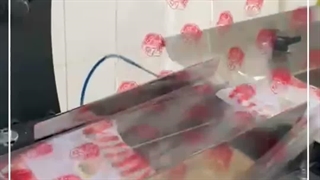 دستگاه بسته بندی همبرگر