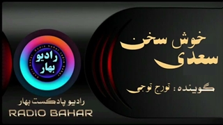گفته بودم چو بیایی