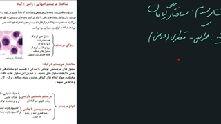 ساختار گیاهان - قسمت اول