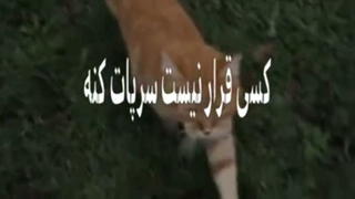 بچه ها آموزش آهنگ rude از h2h رو بزارم ؟ همینطور تیکه ی ترند؟