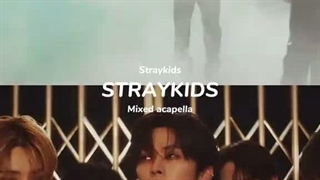Stray kids