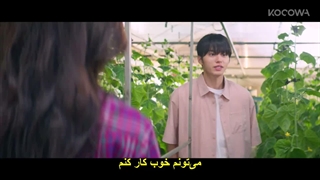 قسمت 1 سریال زندگیتو پرورش بده با زیرنویس چسبیده Cabbage Your Life 2026