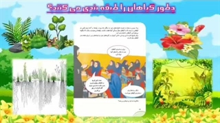 علوم چهارم ابتدایی