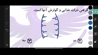 تحلیل ویدئویی سوالات۵۴و۵۵ علوم نهم،مرحله پنجم آزمون ققنوس