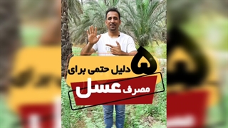 عسل؛ فراتر از یک شیرینی خوشمزه