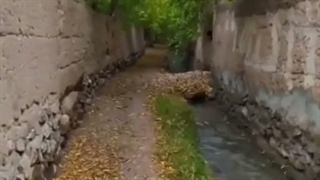 گام برداشتن در کوچه باغی بهشتی در ایرانزمین
