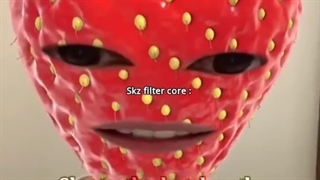 :SKZ core